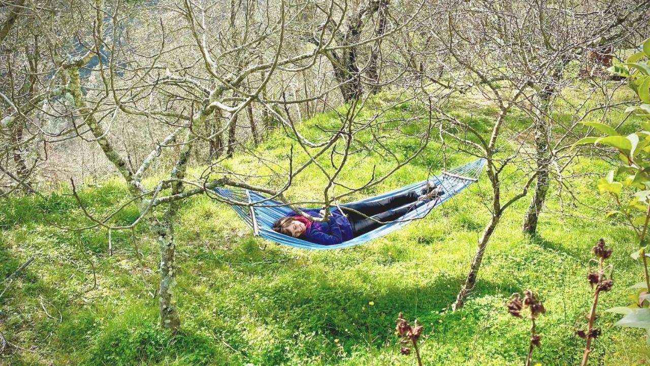세사 실렌토 Benvenuti Nel Sud B&B 외부 사진