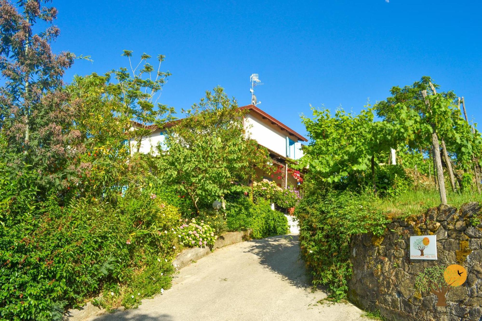 세사 실렌토 Benvenuti Nel Sud B&B 외부 사진