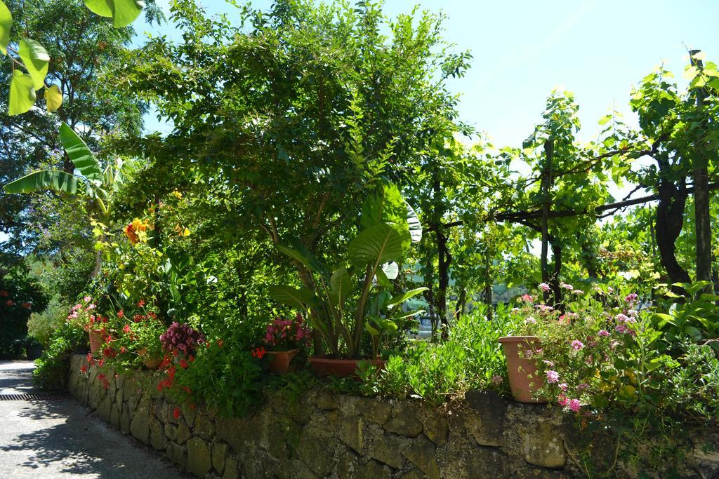 세사 실렌토 Benvenuti Nel Sud B&B 외부 사진