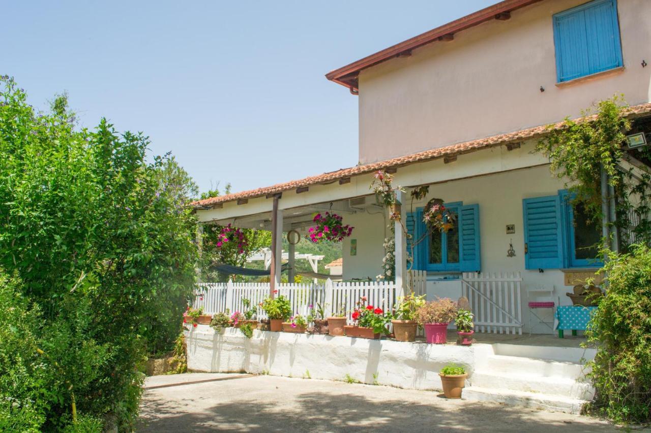 세사 실렌토 Benvenuti Nel Sud B&B 외부 사진