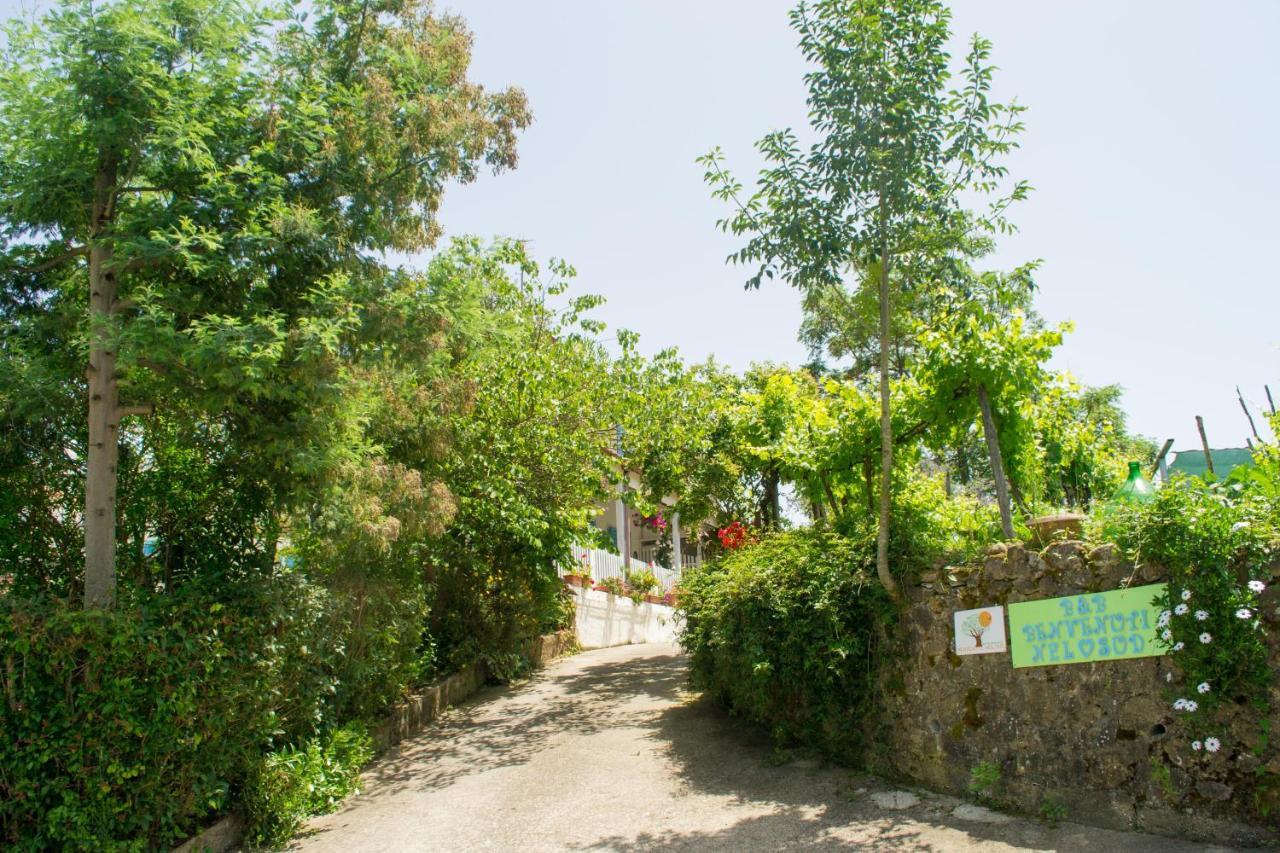 세사 실렌토 Benvenuti Nel Sud B&B 외부 사진